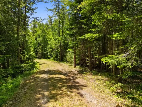 Part Of Map 26 Lot 46 & 48 Mullins Bog Road Lincolnville ME 04849