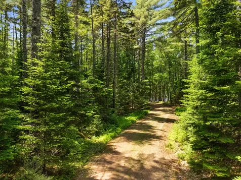 Part Of Map 26 Lot 46 & 48 Mullins Bog Road Lincolnville ME 04849
