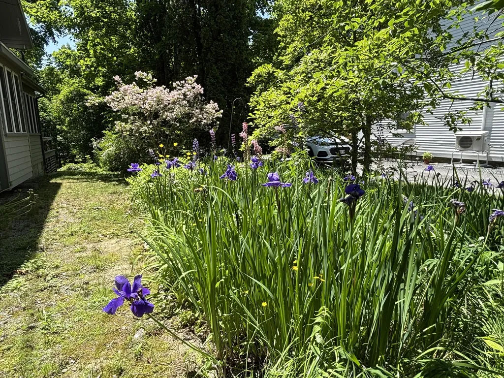 8 Sterling Street Ellsworth ME 04605