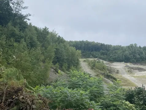 Lot 5 Horse Point Road Belgrade ME 04917