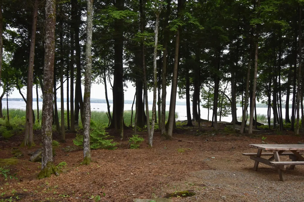 107 Shady Lane Newport ME 04953