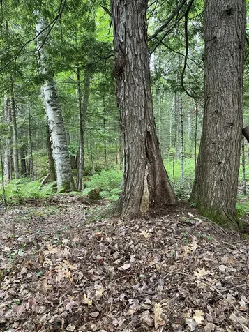 Tbd Spruce Drive Anson ME 04911