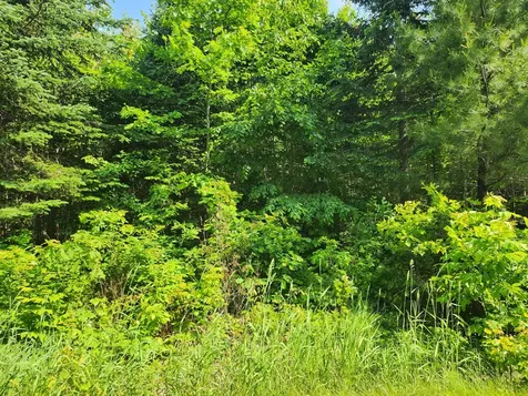 lot 29B Windfall Lane Palmyra ME 04965