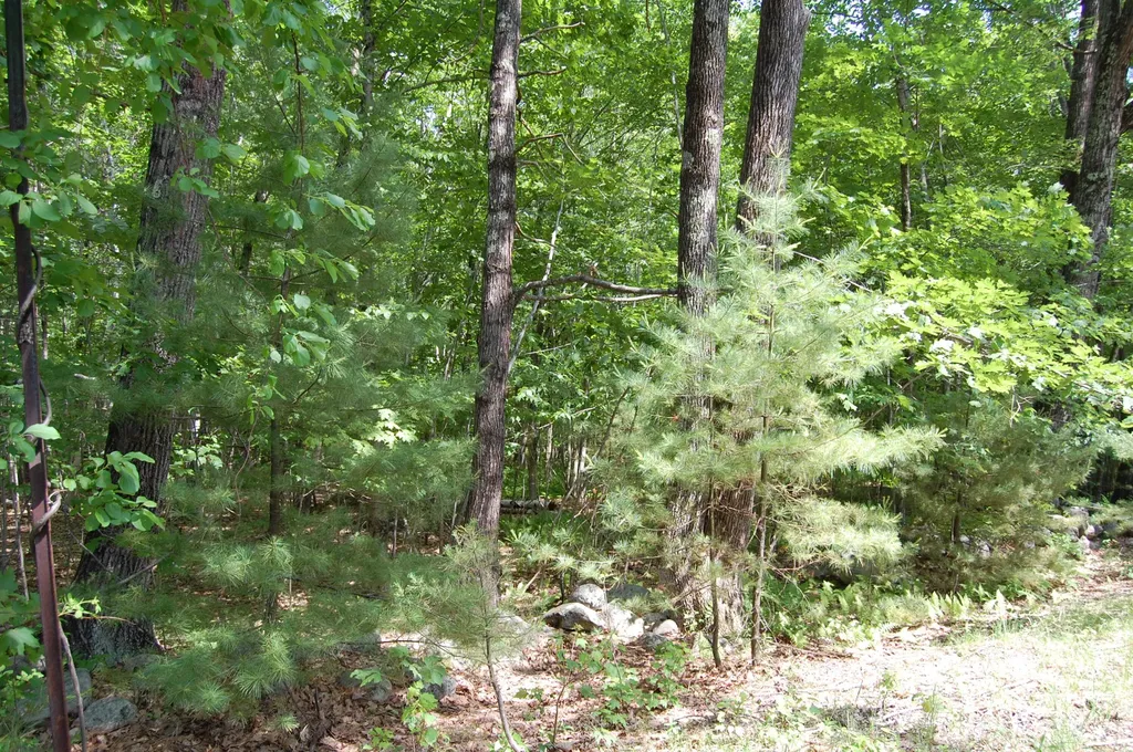0 New Gloucester Road North Yarmouth ME 04097