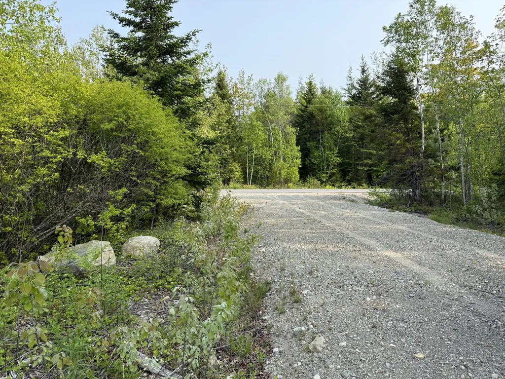 Lot 23 Lucas Lane Whiting ME 04691