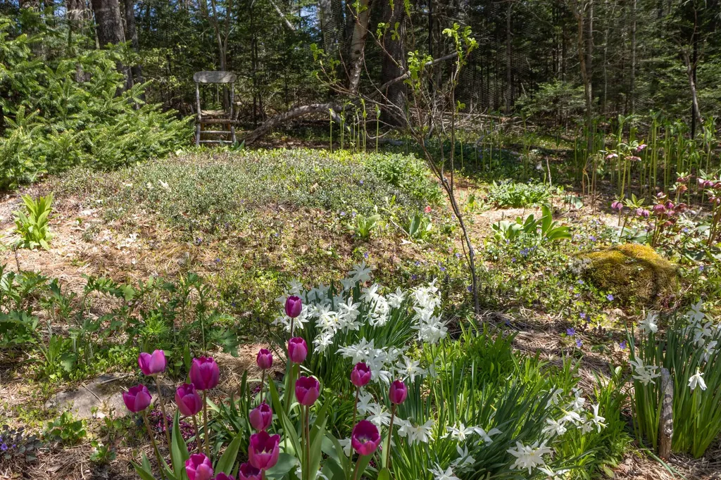 12 Baker's Point Steuben ME 04680