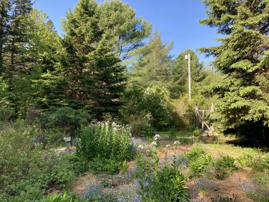 12 Baker's Point Steuben ME 04680