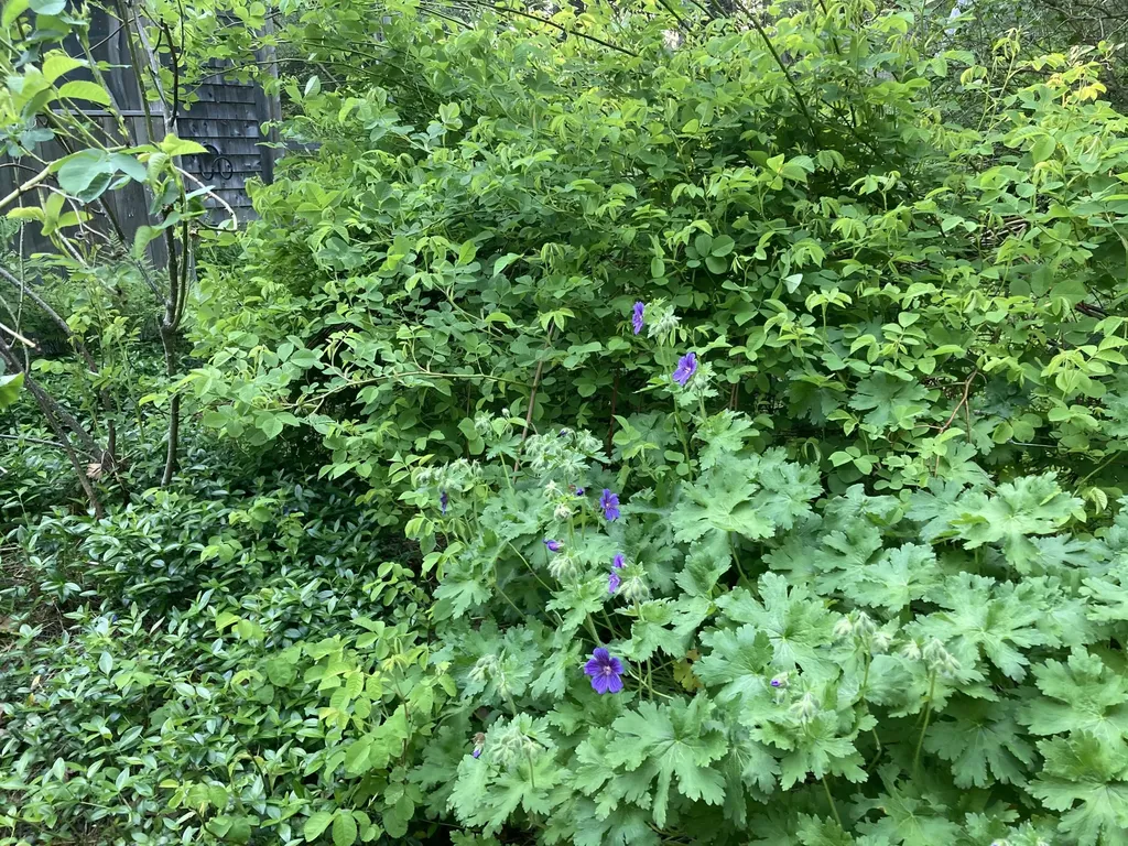 12 Baker's Point Steuben ME 04680
