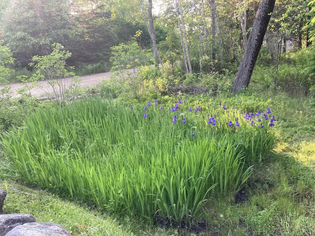 12 Baker's Point Steuben ME 04680