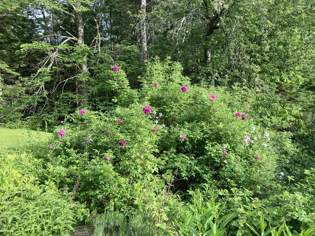 12 Baker's Point Steuben ME 04680