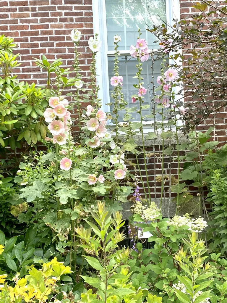 199 Main Street Belfast ME 04915