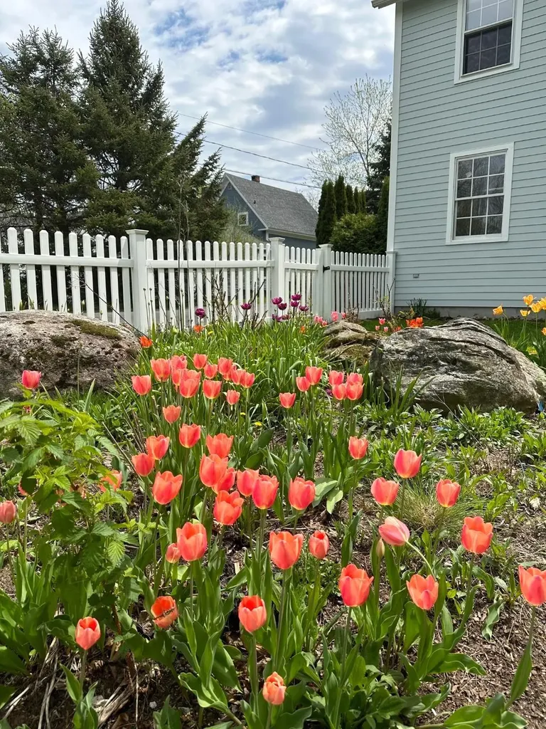 199 Main Street Belfast ME 04915