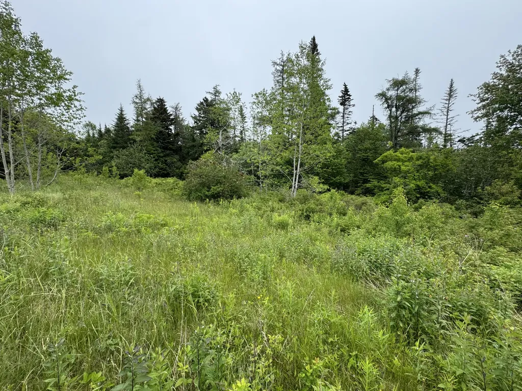 780 Cutler Road Machiasport ME 04655