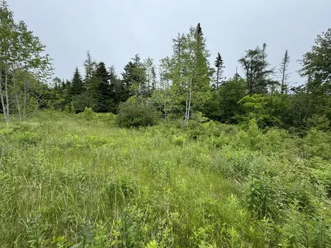 780 Cutler Road Machiasport ME 04655