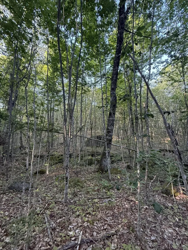 500 Cosgrove Drive Otis ME 04605