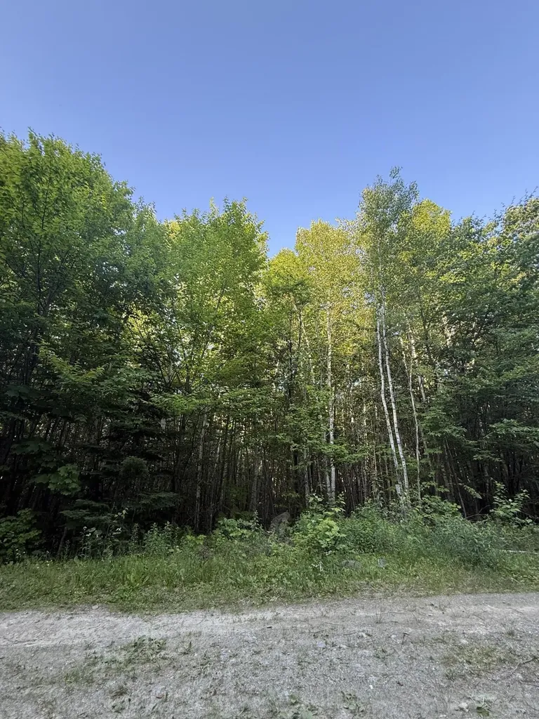 500 Cosgrove Drive Otis ME 04605