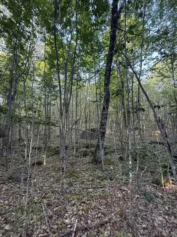 500 Cosgrove Drive Otis ME 04605