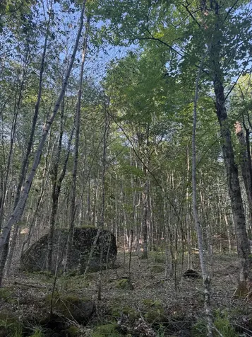 500 Cosgrove Drive Otis ME 04605