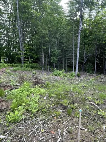 8-3 Turner Street Buckfield ME 04220