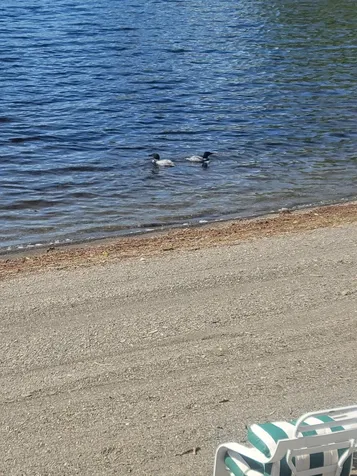 13 South Brook Lane Eagle Lake ME 04739