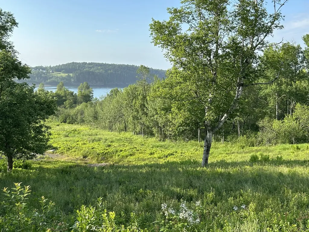 27 Redoubt Hill Road Eastport ME 04631