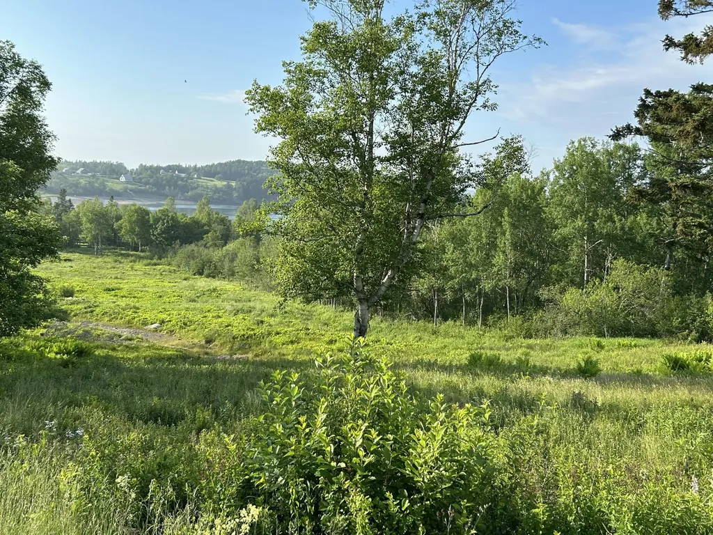 27 Redoubt Hill Road Eastport ME 04631