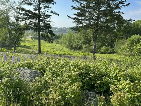 27 Redoubt Hill Road Eastport ME 04631