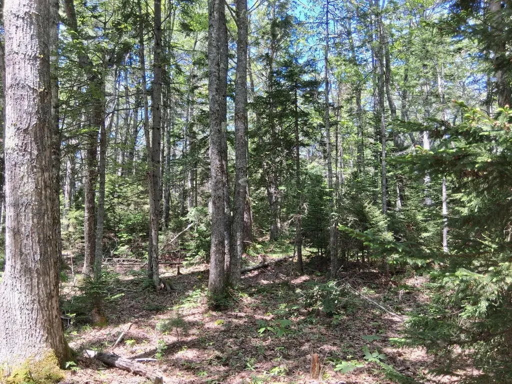 50 Bunchberry Lane Bristol ME 04554