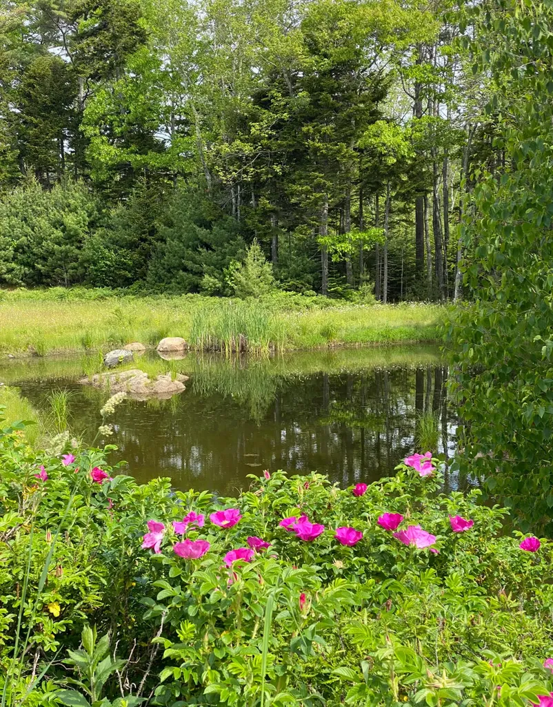 50 Bunchberry Lane Bristol ME 04554