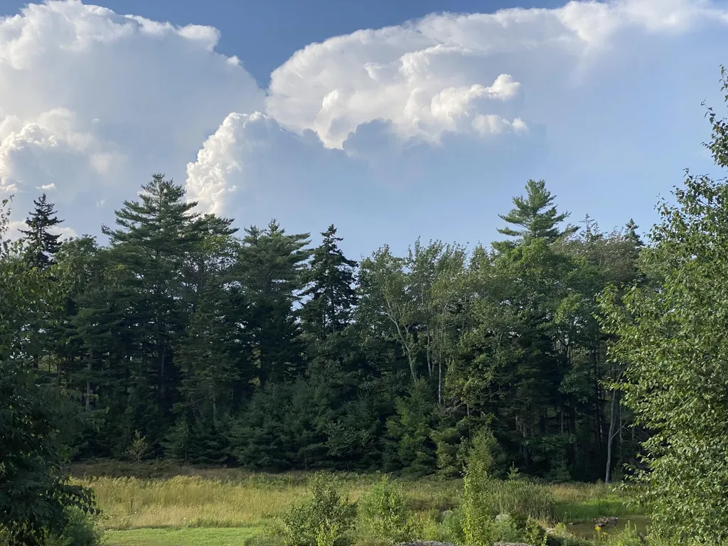 50 Bunchberry Lane Bristol ME 04554