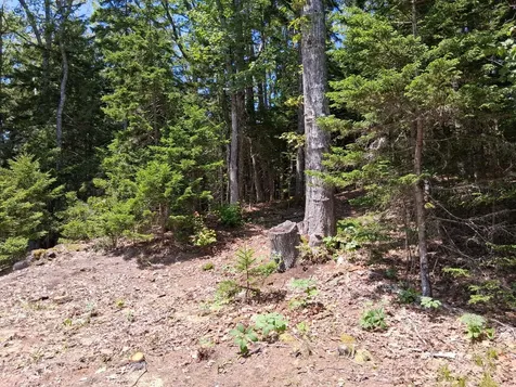 50 Bunchberry Lane Bristol ME 04554