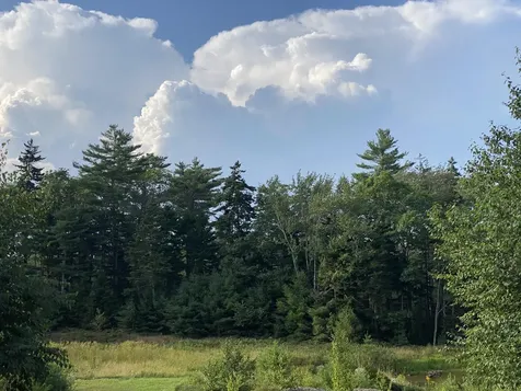 50 Bunchberry Lane Bristol ME 04554