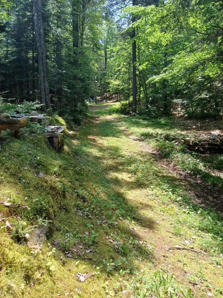 Lot # 16.2 Lane Pond Road Carrying Place Town Twp ME 04961