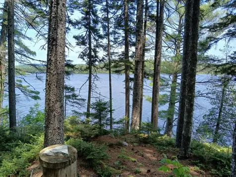 Lot # 16.2 Lane Pond Road Carrying Place Town Twp ME 04961