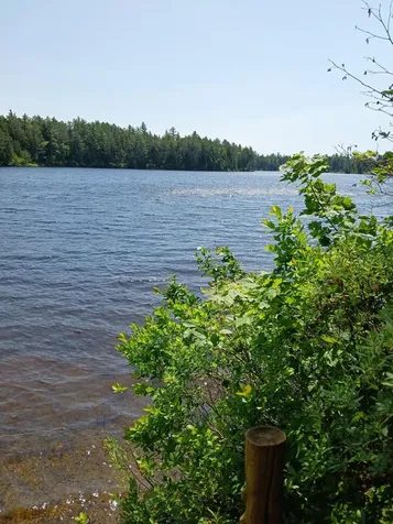 Lot # 16.2 Lane Pond Road Carrying Place Town Twp ME 04961
