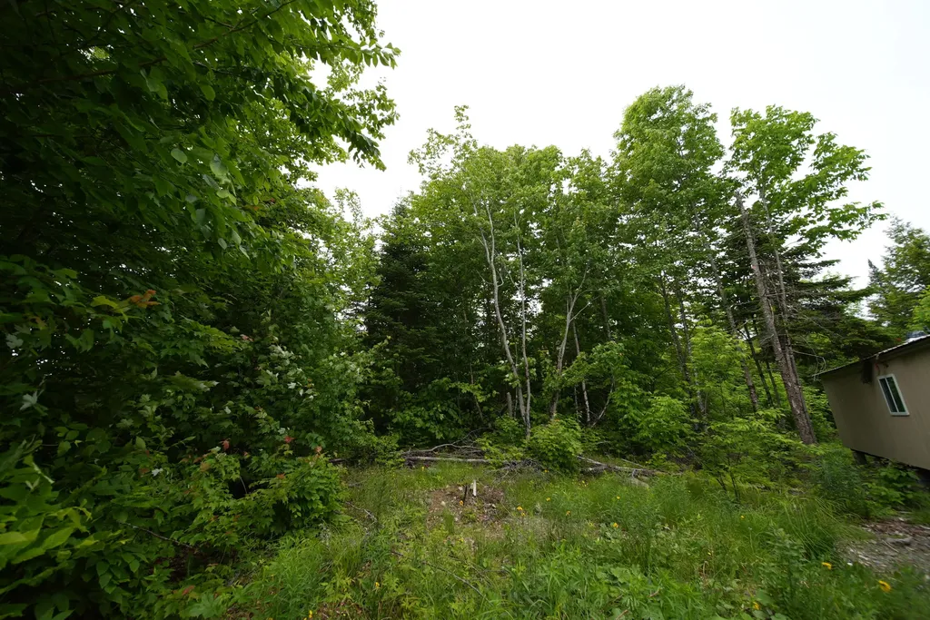 823 Us Route 1 Amity ME 04471