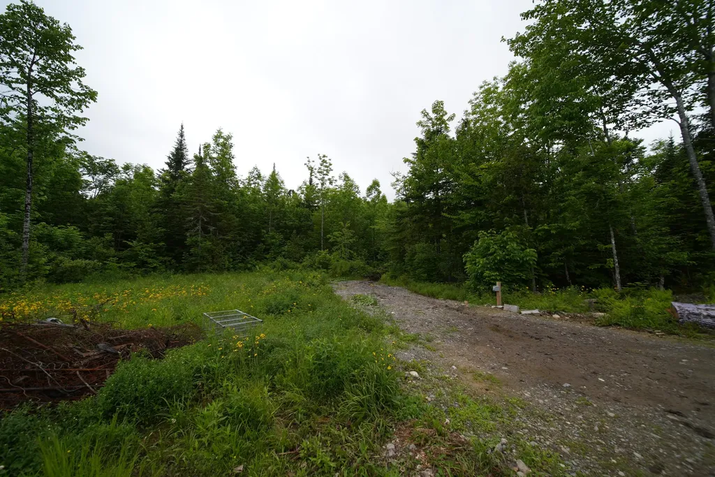 823 Us Route 1 Amity ME 04471