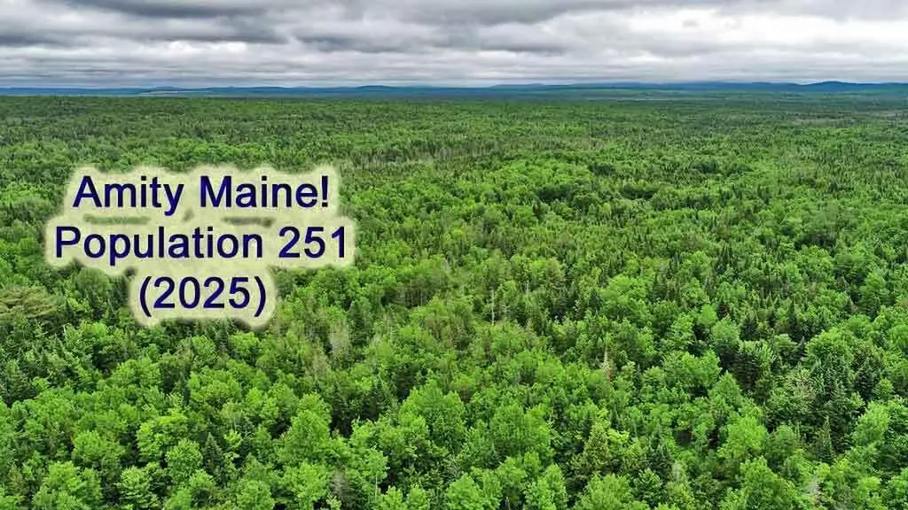823 Us Route 1 Amity ME 04471