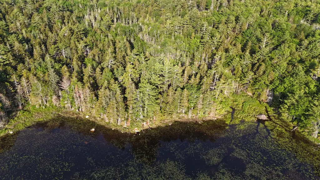 0 Red Spruce Way Mount Desert ME 04660