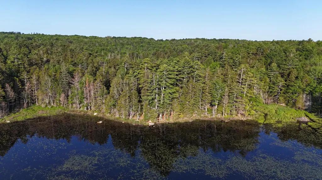 0 Red Spruce Way Mount Desert ME 04660