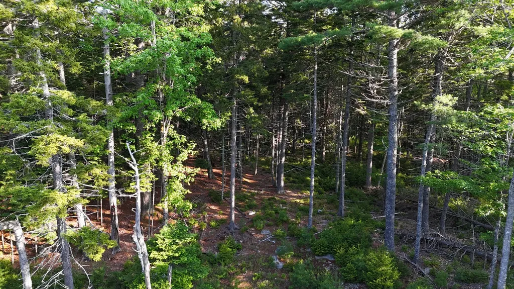 0 Red Spruce Way Mount Desert ME 04660