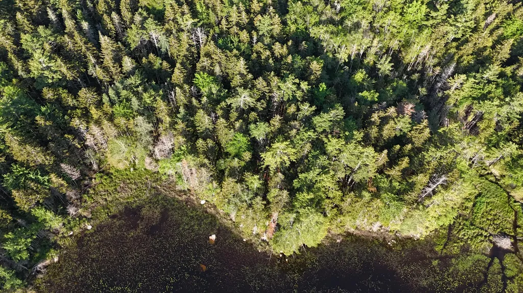 0 Red Spruce Way Mount Desert ME 04660