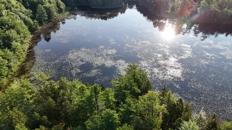 0 Red Spruce Way Mount Desert ME 04660