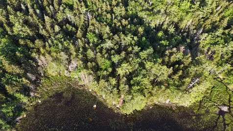 0 Red Spruce Way Mount Desert ME 04660