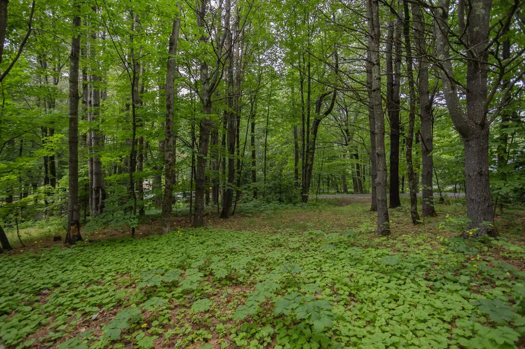 3 Fenderson Hill N Wilton ME 04294