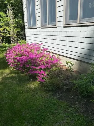 3 Fenderson Hill N Wilton ME 04294