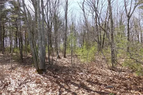 Lot 1c Main Street / Route 109 Sanford ME 04073