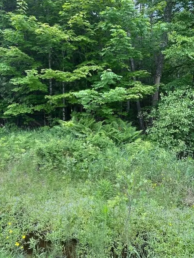 3-3-A Avenue Road Corinth ME 04427