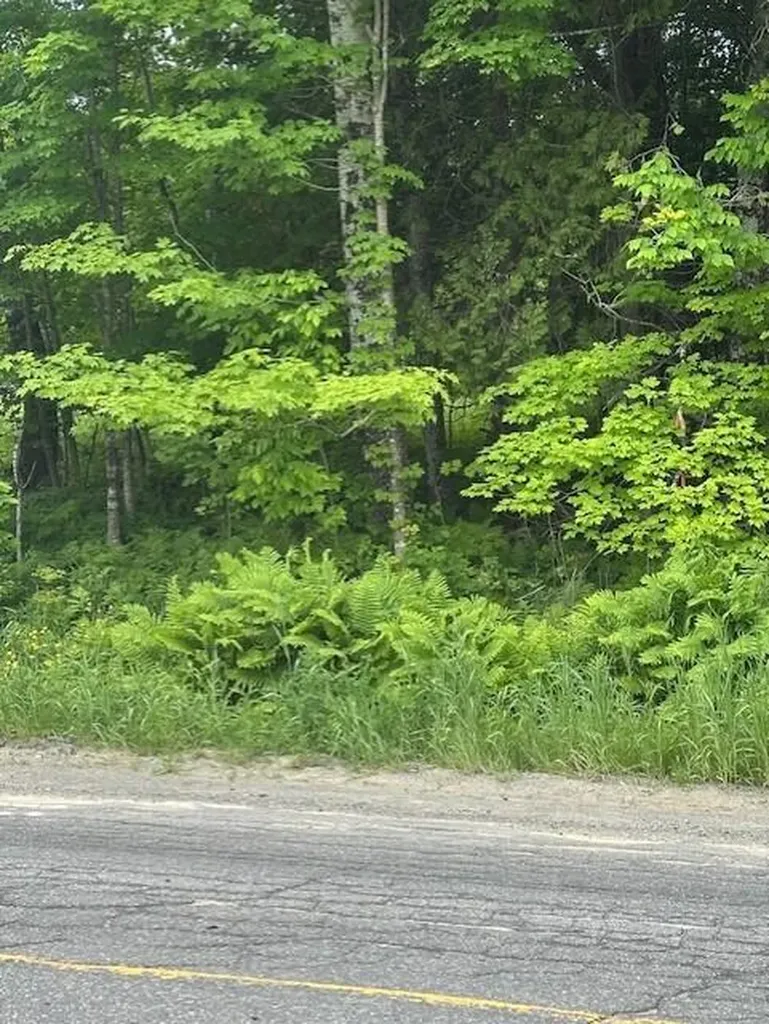 3-3-A Avenue Road Corinth ME 04427