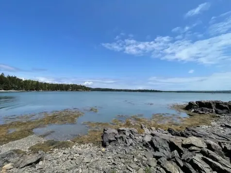 Lot #139 Duck Cove Road Roque Bluffs ME 04654